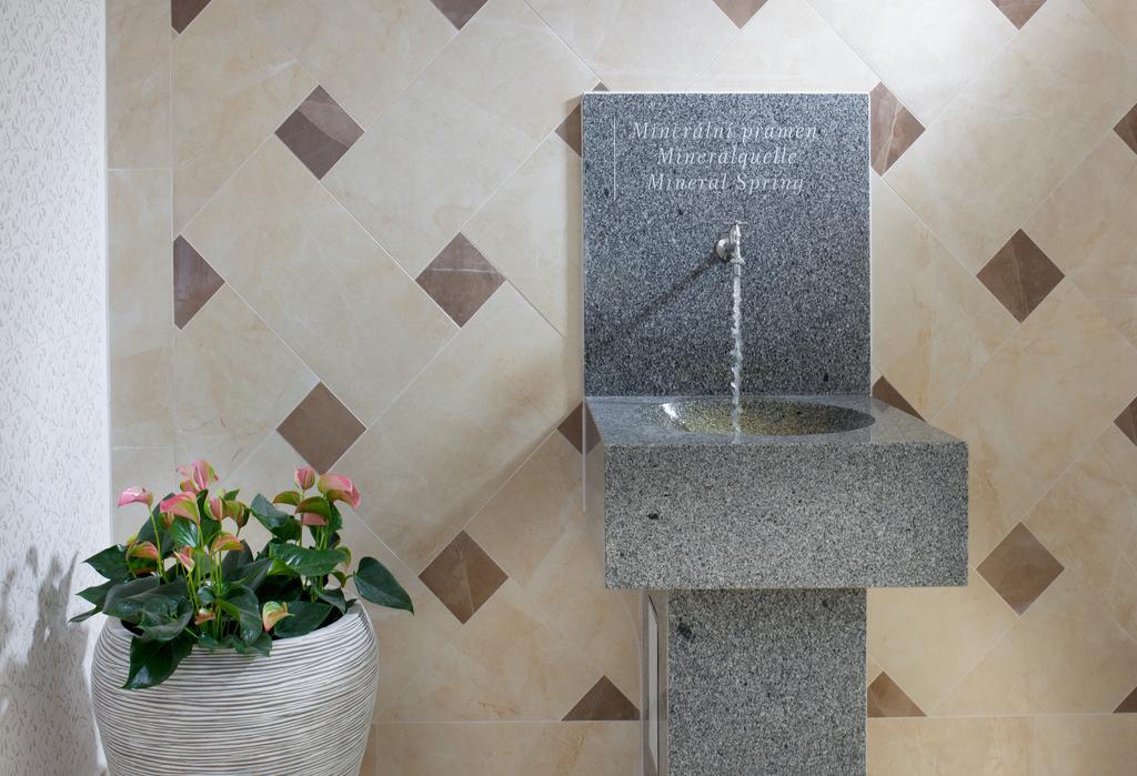 Spa&kur Praha 3*